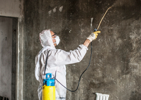 varför varumärkesundersökningar är avgörande för ditt företags framgång